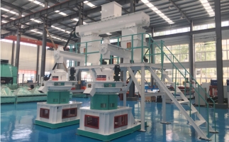 木屑顆粒機多少錢一臺?建顆粒廠大約多少錢？