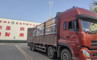 忙碌的五月，忙碌的發貨，金格瑞顆粒機生產線發往全國各地