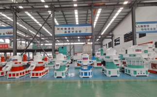 木屑顆粒燃料的原料是什么？市場前景怎么樣？木屑顆粒機廠家告訴你