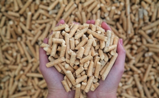 夏季儲存鋸末顆粒機生物質顆粒的方法，要認真看喲