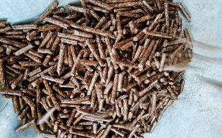 如何選擇鋸末顆粒機(jī)的顆粒燃料？講解！